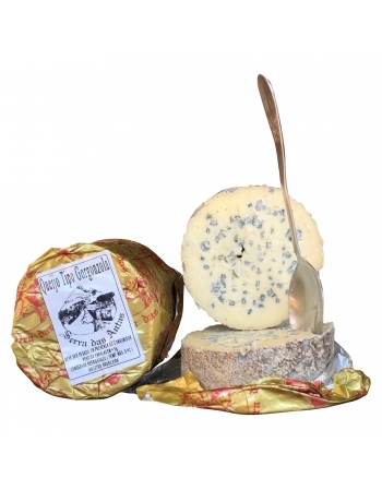 QJ GORGONZOLA DE COLHER SERRA DAS ANTAS PC 600G