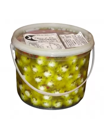 QJ CHEVRE A LHUILE COM ERVAS CHEVRE DU MONTE BD 1.350KG DRE