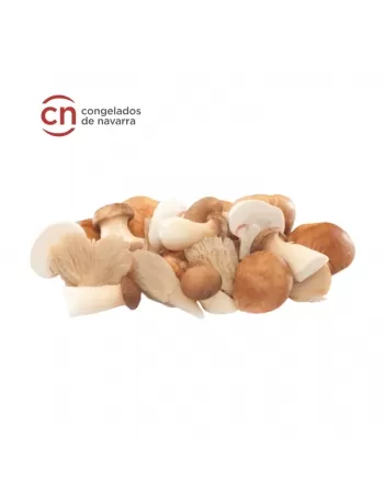 MIX COGUMELOS IQF NAVARRA 1KG - IP (I)