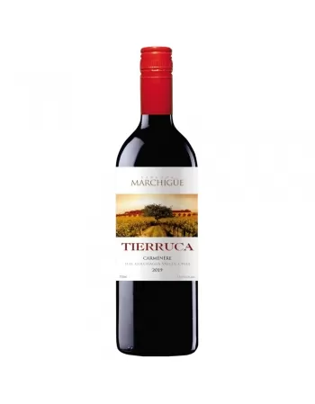 VHCHIT TIERRUCA CARMENERE TT 750ML (AVARIA)