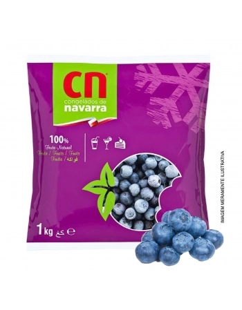 BLUEBERRIES IQF NAVARRA 1KG