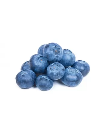 BLUEBERRIES IQF NAVARRA 1KG