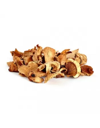 C. COGUMELO SECO FUNGHI DON PEPE PC 1KG